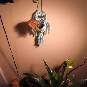Owl Macrame Plant Hanger/ Car Accessory